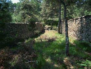 Ruta de La Losa y San Zadornil